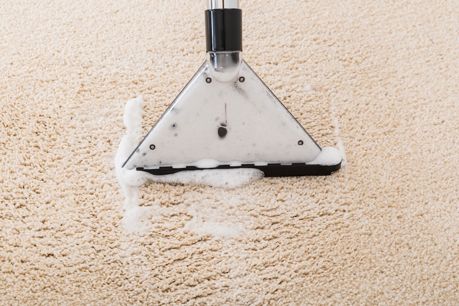 Commercial carpet cleaning to remove bacteria, dust mites, viruses, mould and mildew from your office carpet.